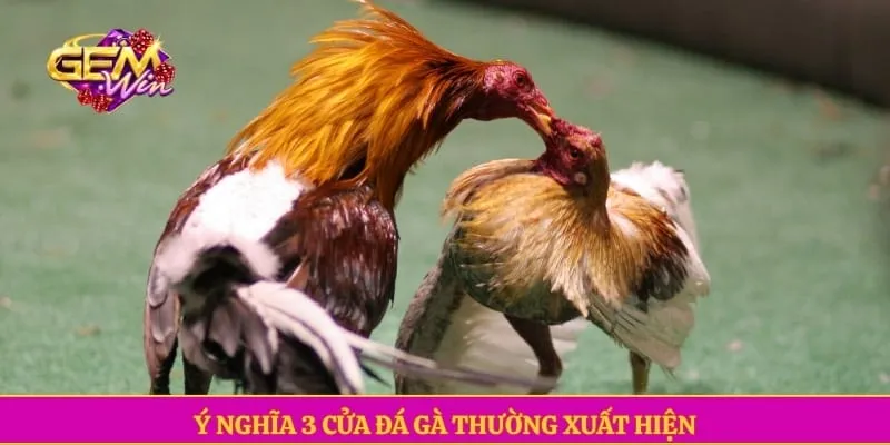 Đá gà GEMWIN Ý nghĩa 3 cửa đá gà thường xuất hiện